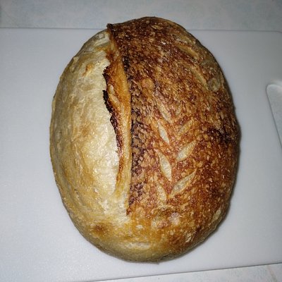 Original Classic Sourdough (Regular Loaf)