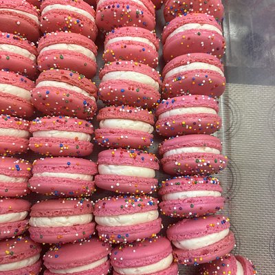 Animal Circus Cookie