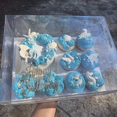 Bento Cake And Cupcakes Box 