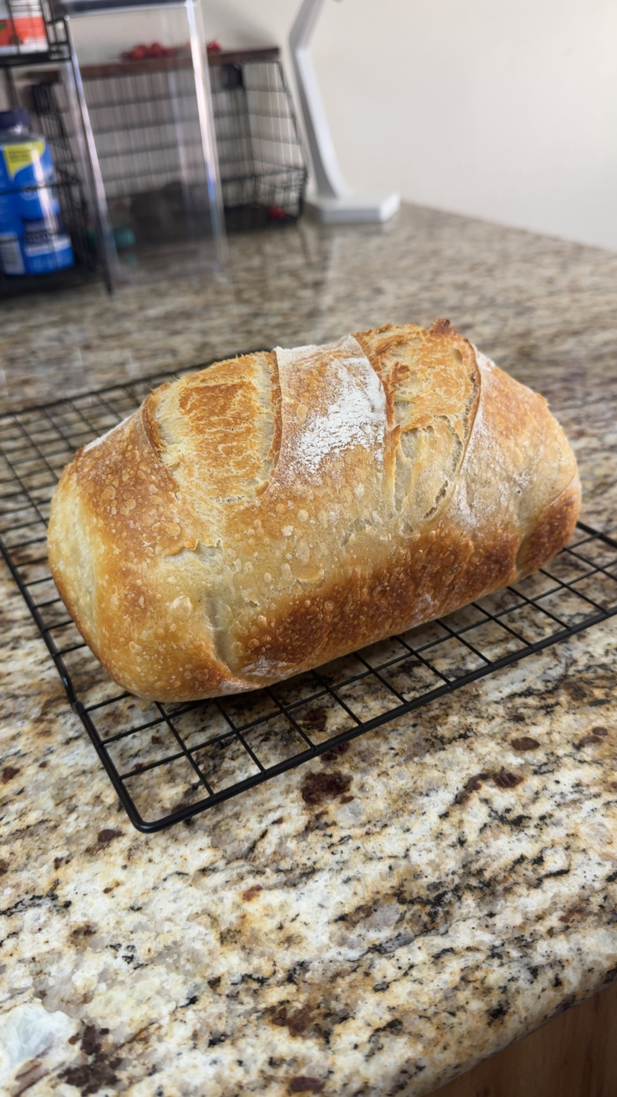 Sandwich Loaf