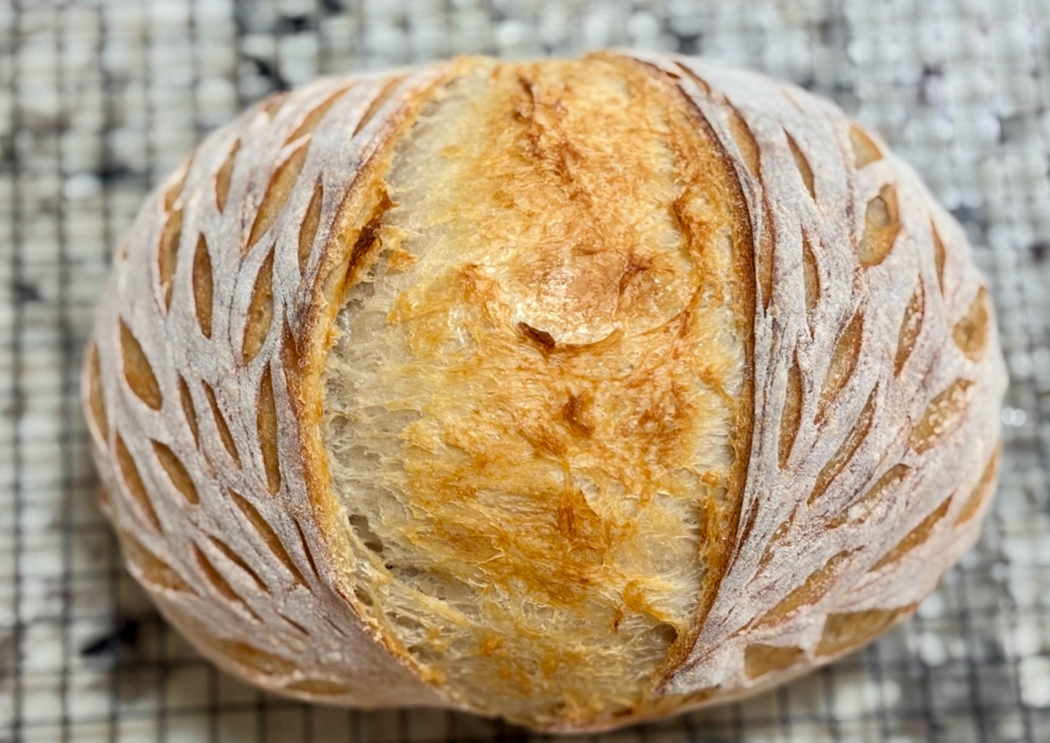 Sourdough Artisan Loaves 