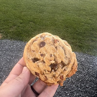 Chocolate Chip Cookie