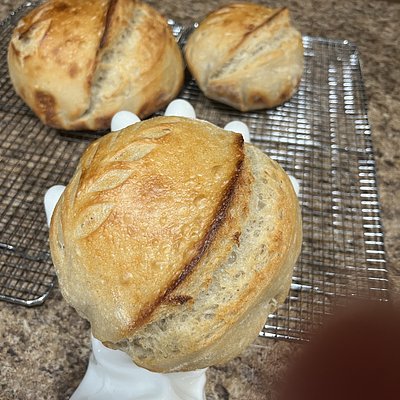 Mini Boule (round) Loaves (1 order = 2 loaves)