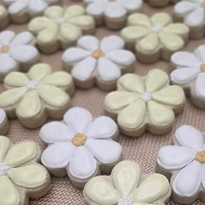 Mini Custom Sugar Cookies