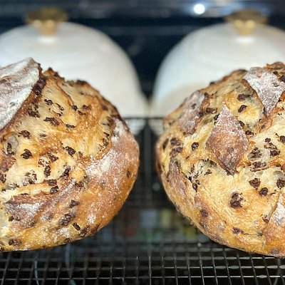 SD  Artisan Boule Chocolate Chip
