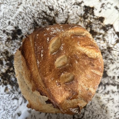Wheat Sourdough Loaf 
