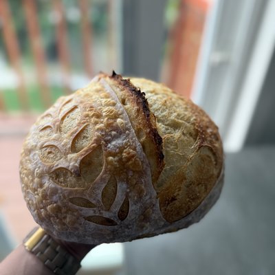 Artisan Sourdough Loaf