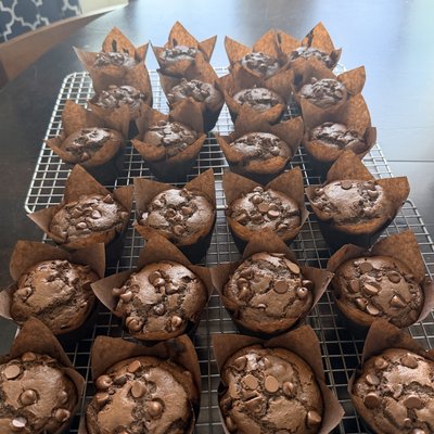 Double Chocolate Chip Muffins (4 Pack)