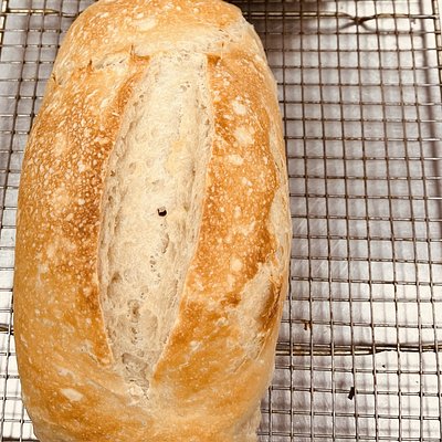Classic Sourdough