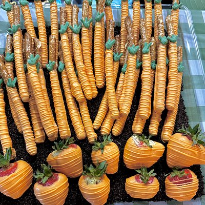 Chocolate Covered Pretzel Rods
