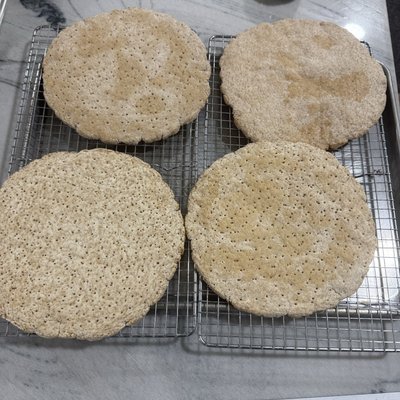 Gluten free Sourdough Pizza Base  (2x10 Inches)