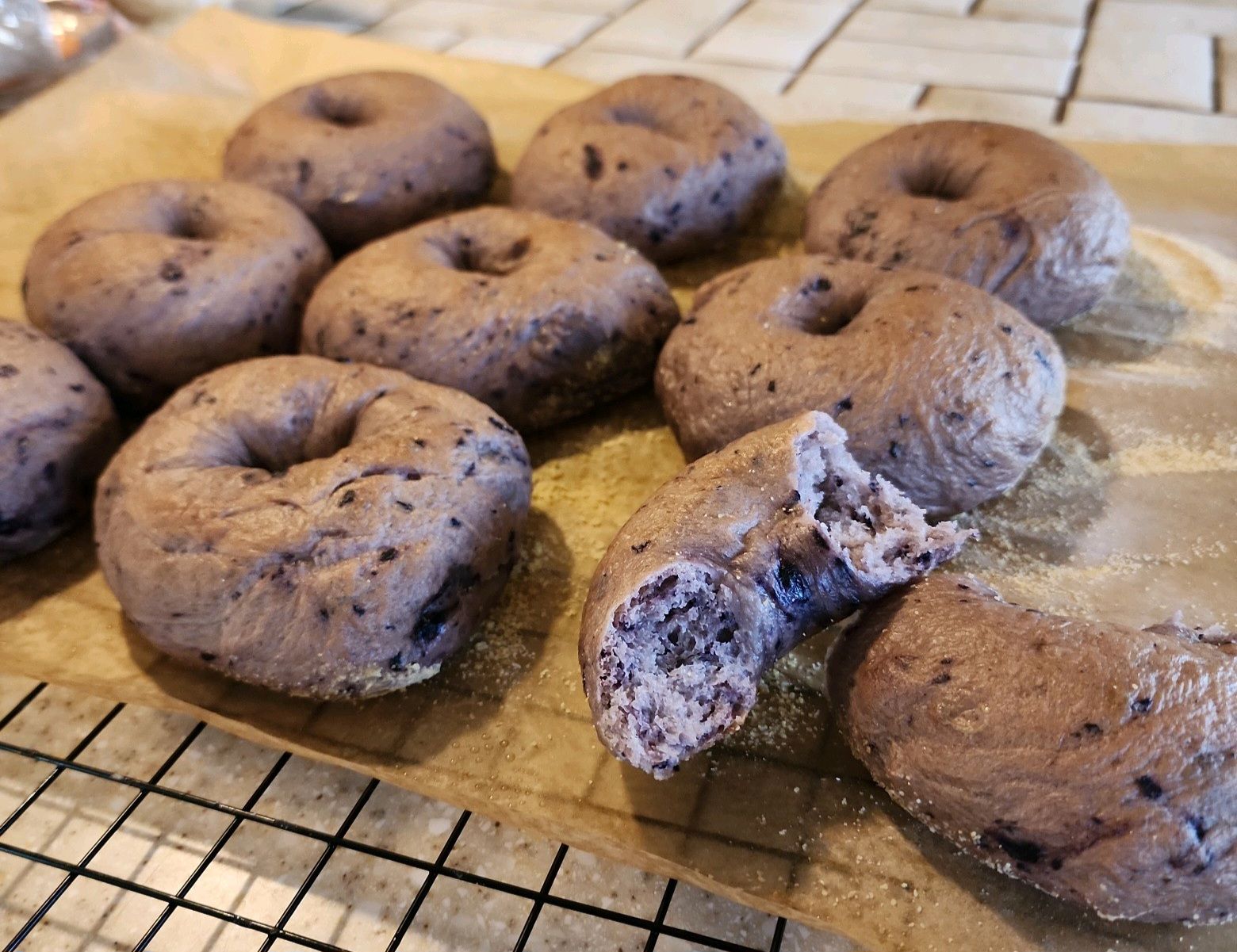 Blueberry Bagel