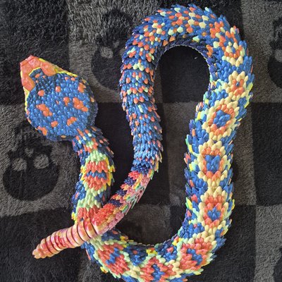 Diamondback Rattlesnake