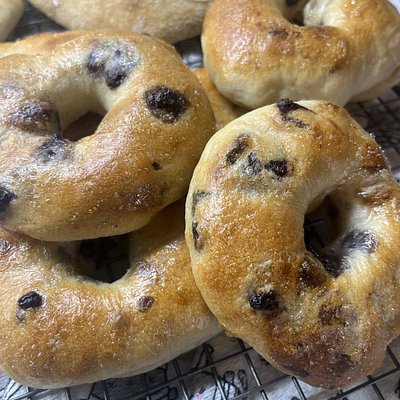 Sourdough Chocolate Chip Bagels