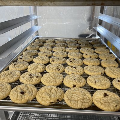 Chocolate Chip Cookies