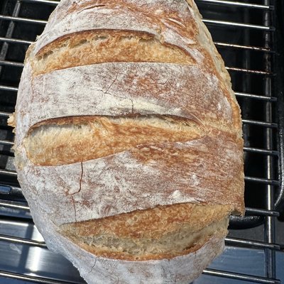 Special Order Sourdough 