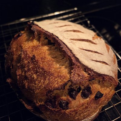 Pumpkin Sourdough W/ Chocolate Chips