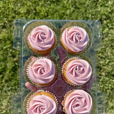 1/2 Dozen Cupcake
