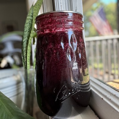 Blueberry Lemonade Concentrate