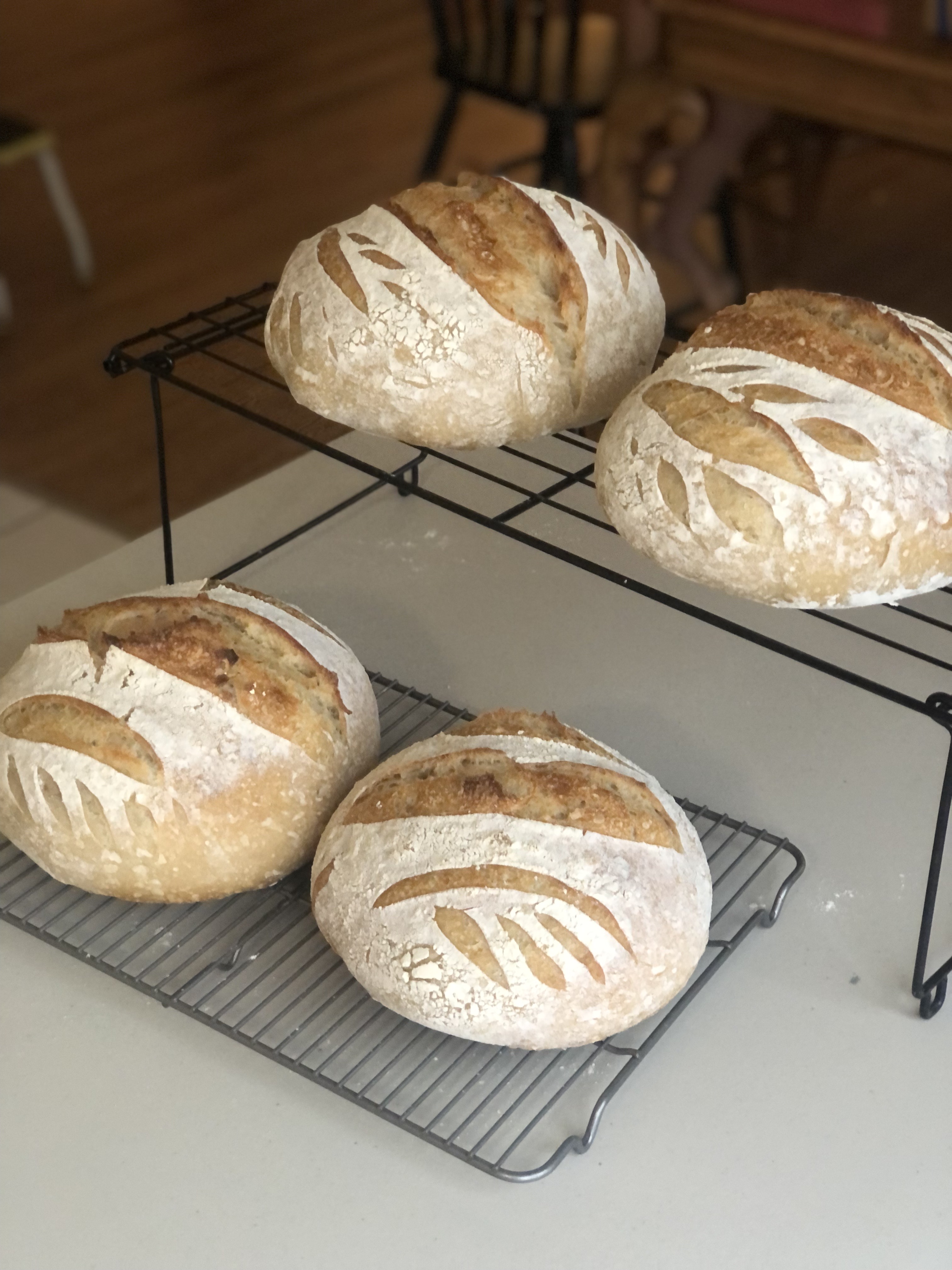 Classic Country Sourdough 