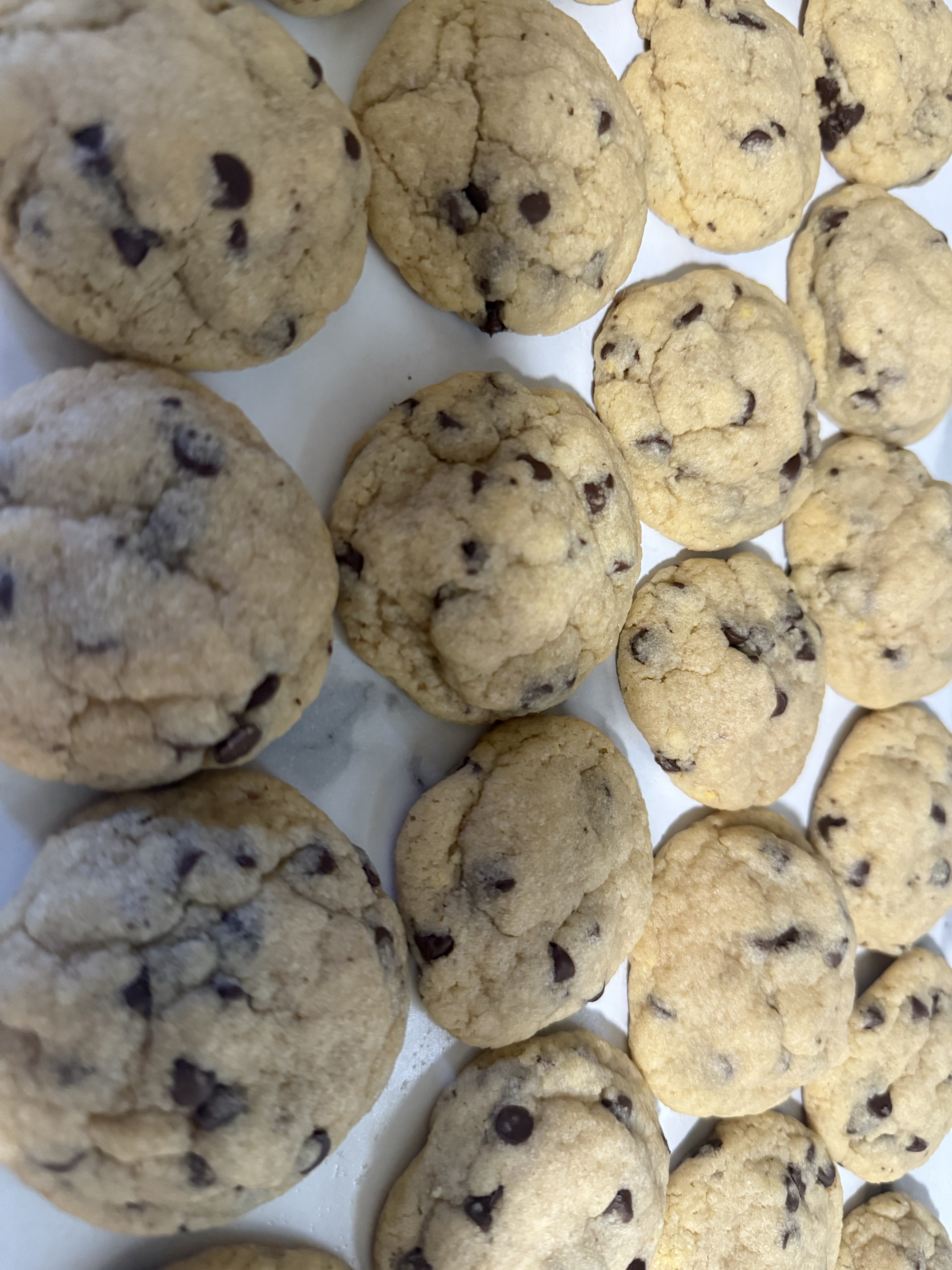 Chocolate Chip Cookies