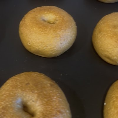 Sourdough Plain Bagels