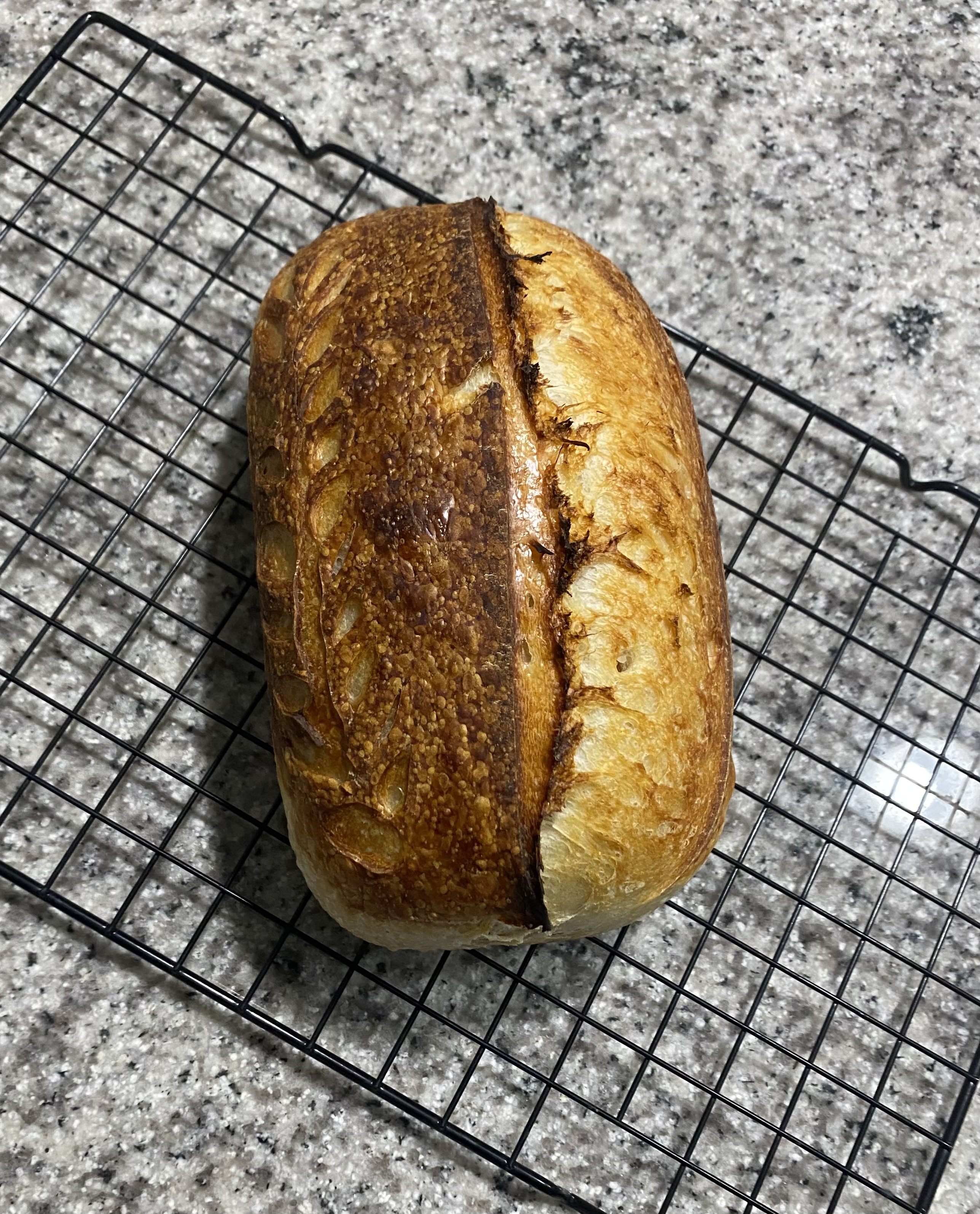 Classic Sourdough