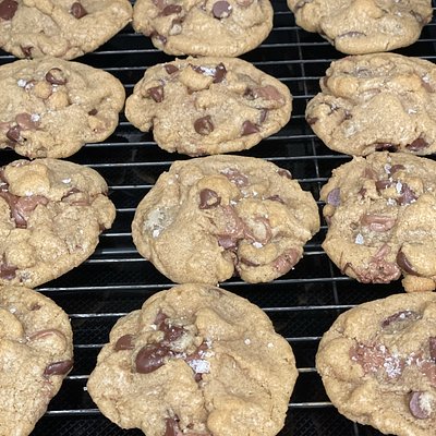 The C.C. - Gourmet Chocolate Chip 