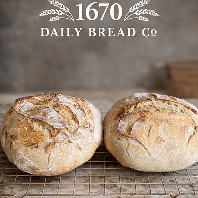 Daily Bread Sourdough