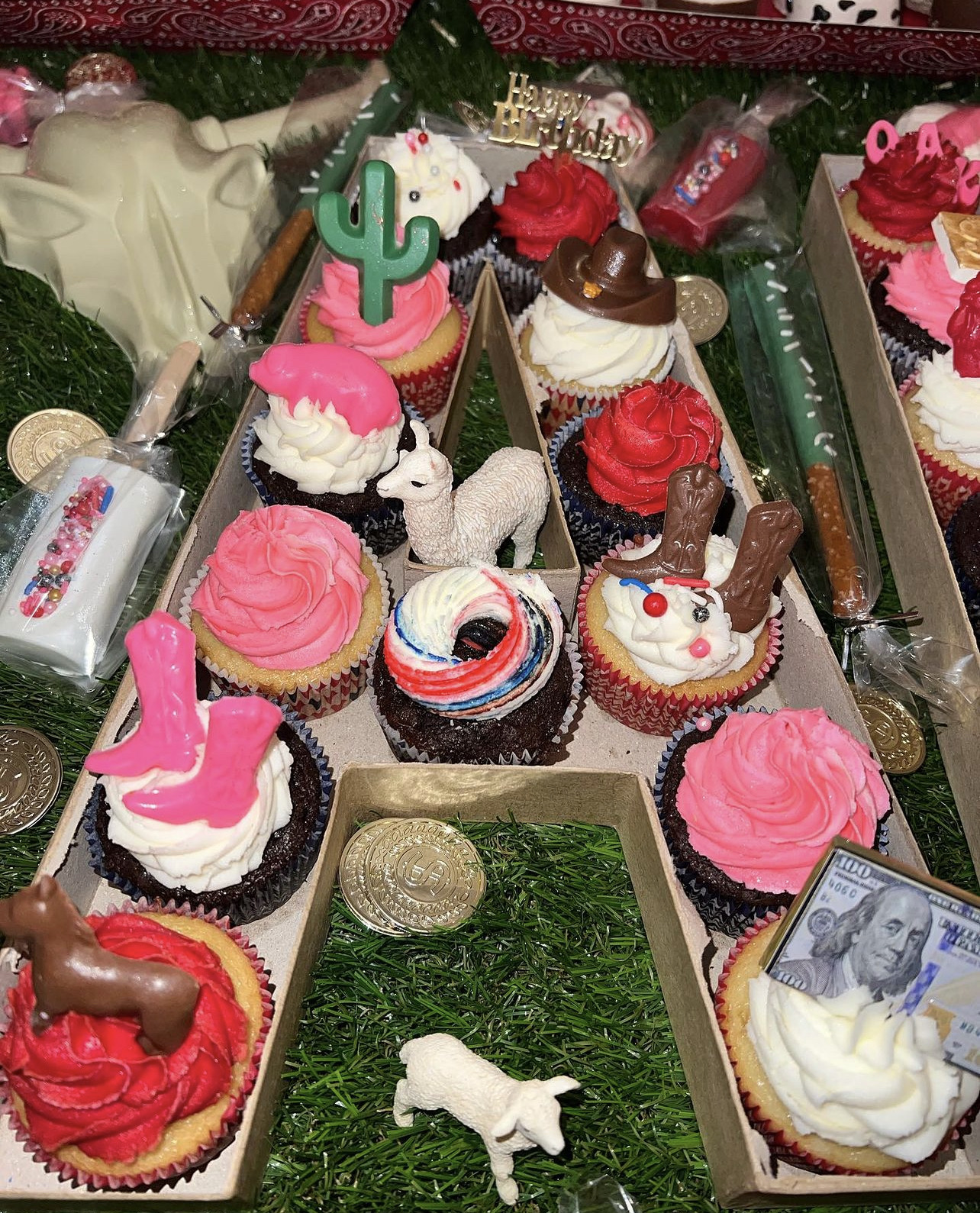Large Letter / Cupcake boxes