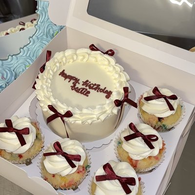 Bento Cupcake Box🎂🧁