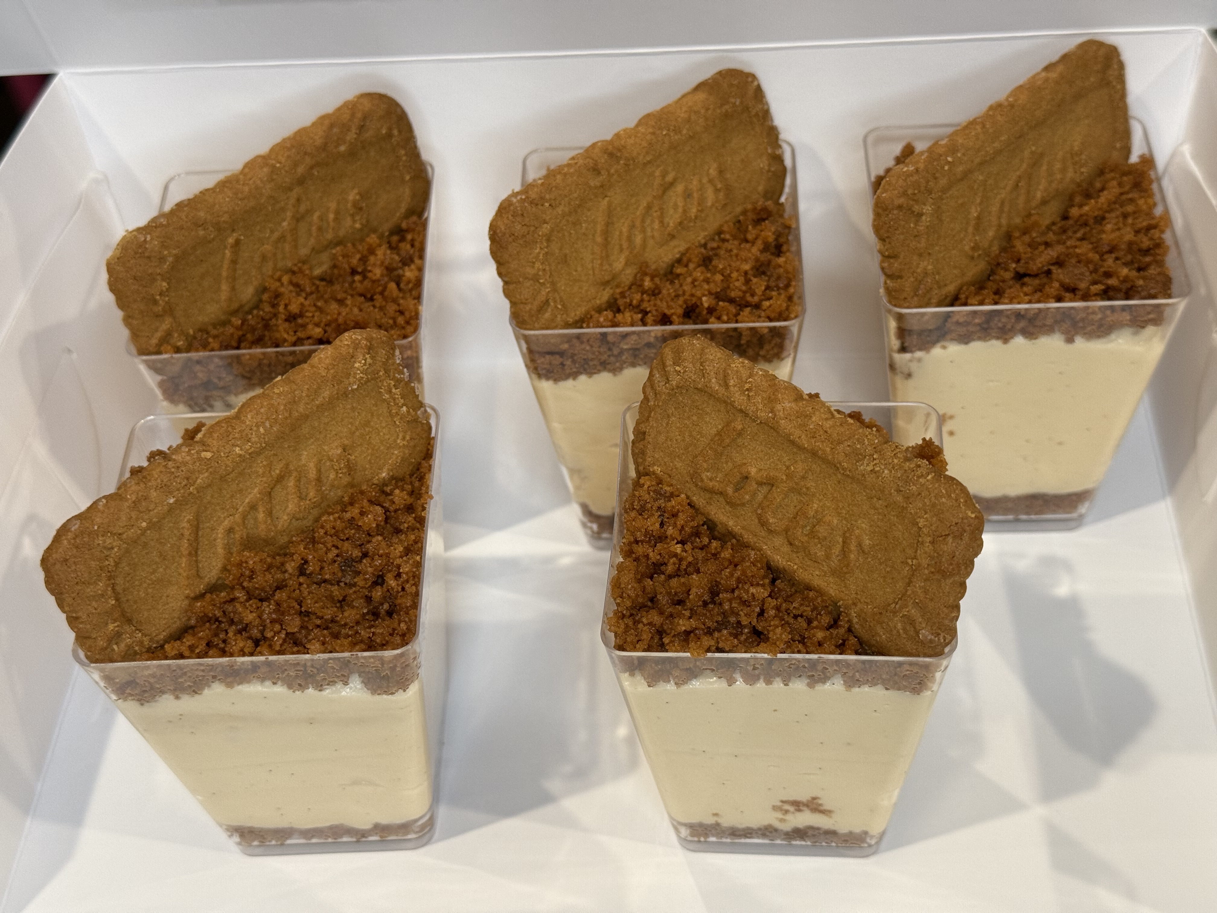 Biscoff Cheesecake Cup Regular Size 