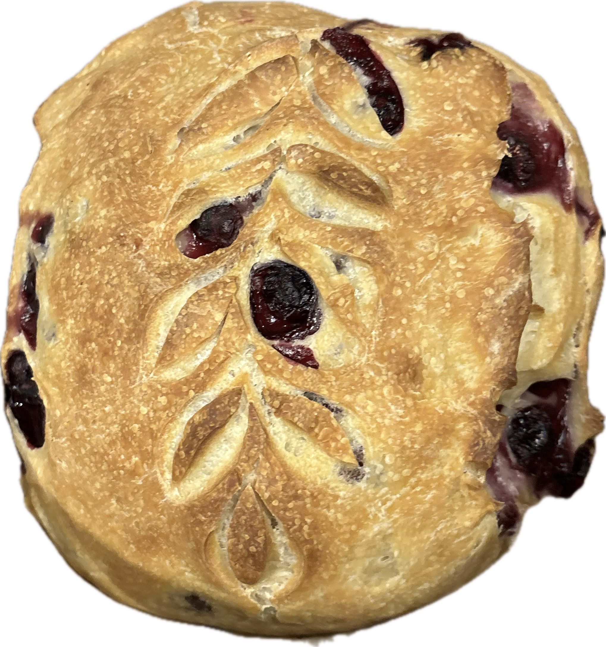 Lemon Blueberry Sourdough Boule 