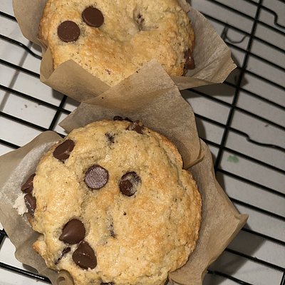 Jumbo Chocolate Chip Muffins