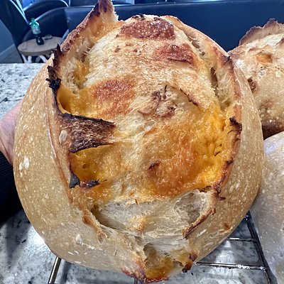 Roasted Garlic Cheddar