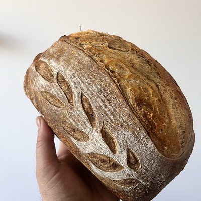 Italian Herb And Cheese