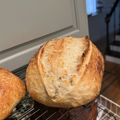 Cheddar Dill