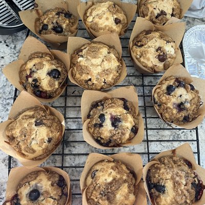 Muffins 4 Pack 