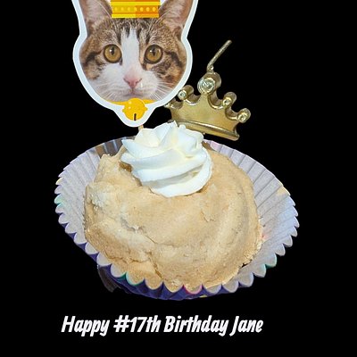 Cat Bundt/Cupcake