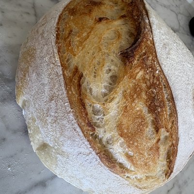 Standard Sourdough 