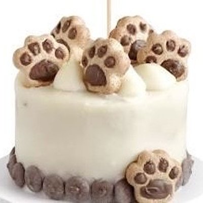 Dog-Friendly Custom Cakes