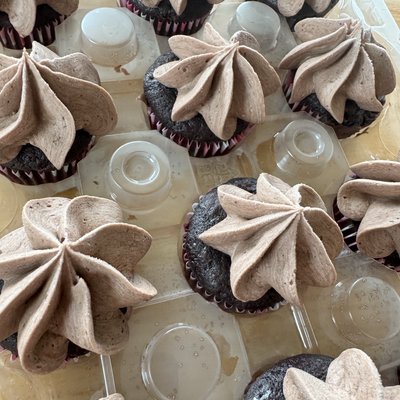 Double Chocolate Mini Buttercream Bites Frosted Cupcakes-12 Pack