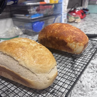 Mozzarella Loaf
