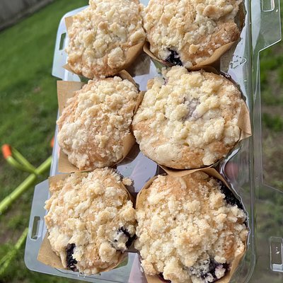 12 Ct Sourdough Blueberry Crumble Muffins