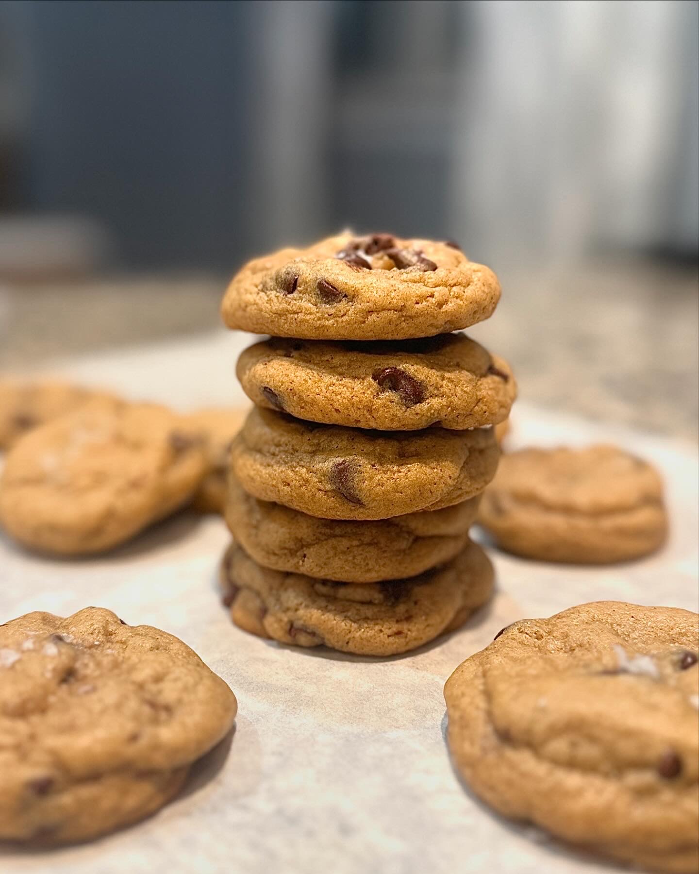 YoChocoChip Cookies (qty 6)