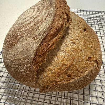 Whole Wheat Sourdough