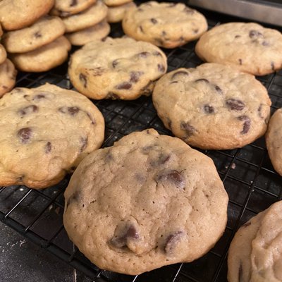 Chocolate Chip