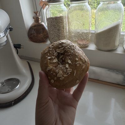 PUMPKIN SOURDOUGH BAGELS