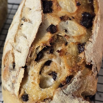 Sourdough With Chocolate Chips
