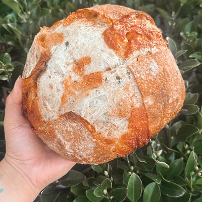 Cheddar & Herb Sourdough Boule